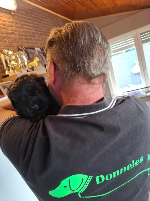 Instructeur Filip met zijn Vlaamse Koehond Duk