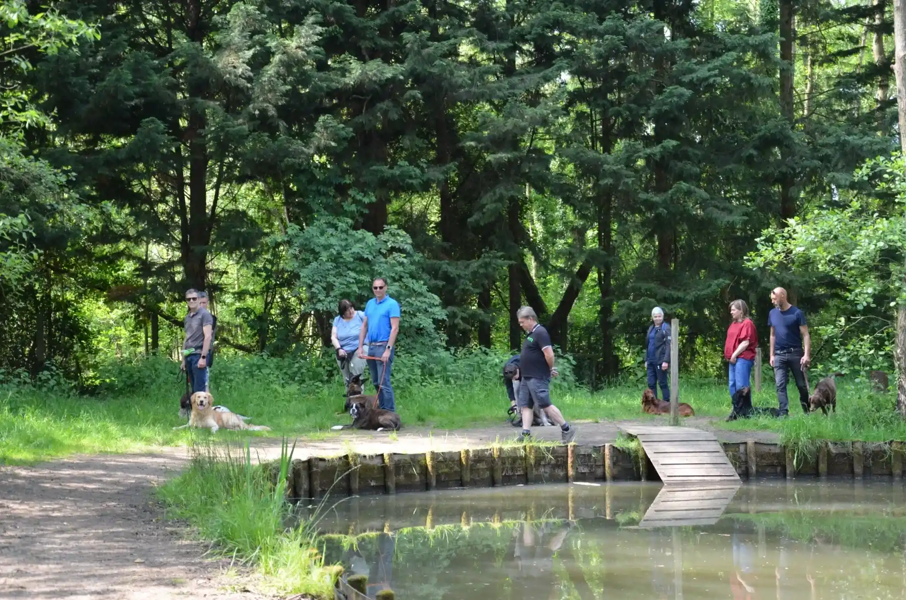 Wandellessen met Donneles in het bos