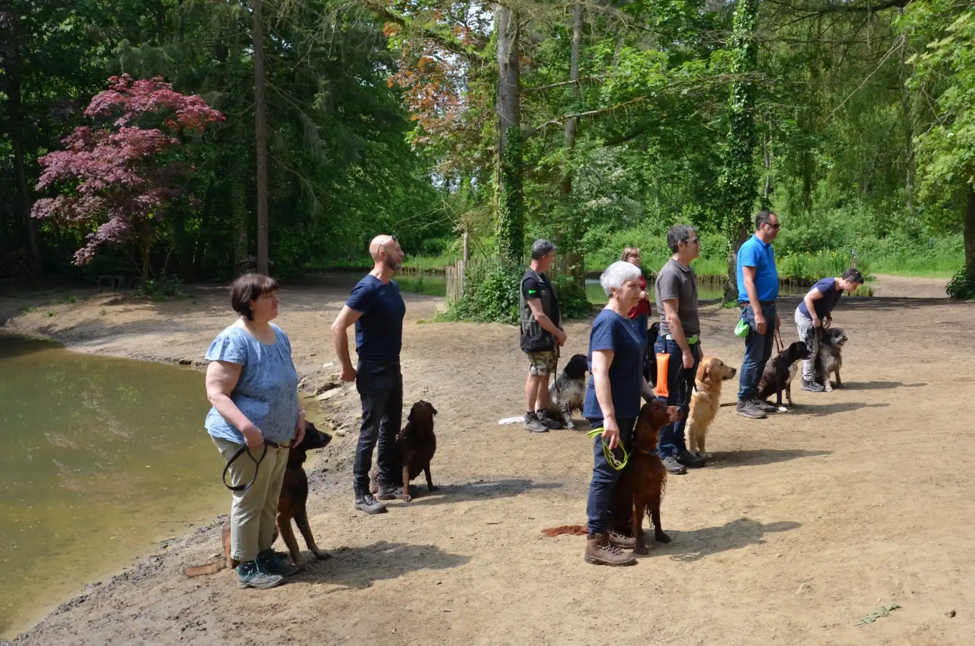 Groep honden en baasjes tijdens een wandelles in Kampenhout