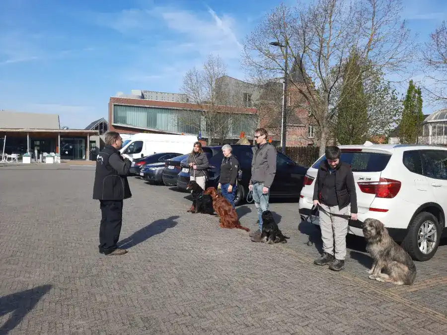 Wandelles aan de kerk van Kampenhout